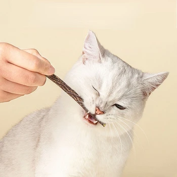15buc Pisica Stick Natural Silvervine Bastoane pentru Pisici Face Pisica Sanatoasa Catnip Bastoane pentru Pisoi Dentiție Jucării de ros