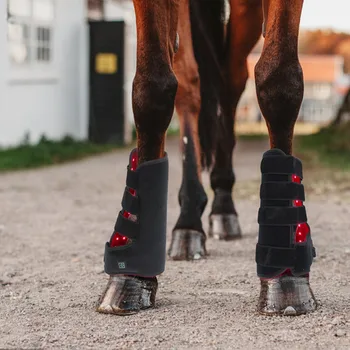 Roșu Infraroșu Animale De Companie Musculare Trăgând Rana De Recuperare Picior De Cal Portabil Terapie Cu Lumină Picior Fizioterapie Dispozitiv De Terapie Cu Lumină Led