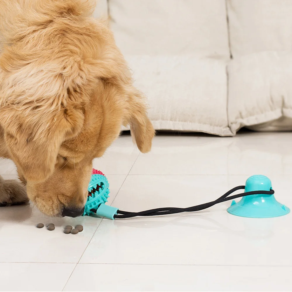 Câini Jucării, Siliciu Ventuza Remorcher Interactive Minge De Câine Jucării Pentru Animale De Companie Mesteca Muscatura De Curățare Dinte Periuta De Dinti Alimentare Consumabile Pentru Animale De Companie1