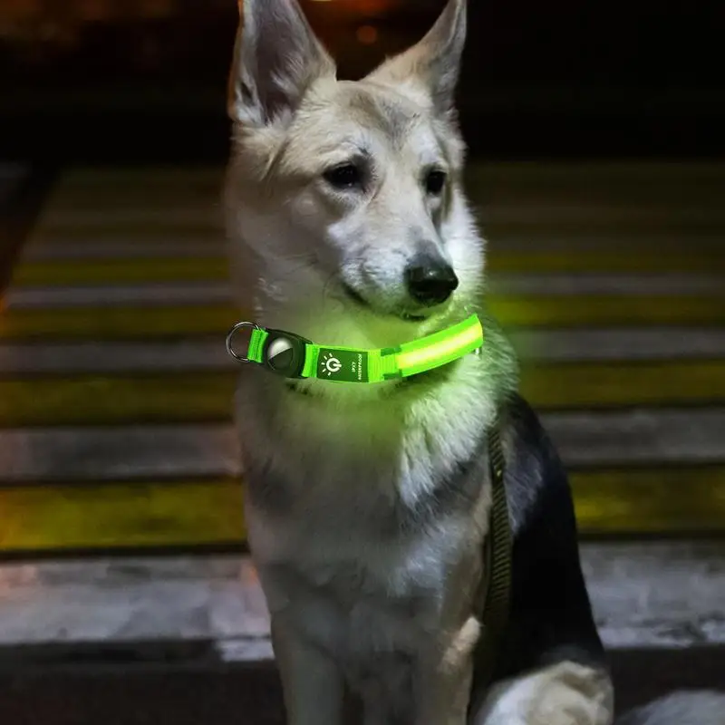 LED-uri Stralucitoare Câine Guler Cu USB baterie Reîncărcabilă de Înaltă Vizibilitate animale de Companie Stralucitoare Clipește Colier Guler Pentru Exterior Noapte Siguranței Alimentare1