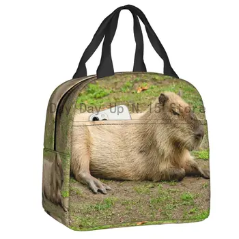 Doar Refrigerate Capybara Portabile, Cutii de Pranz pentru Femei Impermeabil Animale de Companie Termică a Răcitorului de Alimentare Izolate masa de Prânz Sac