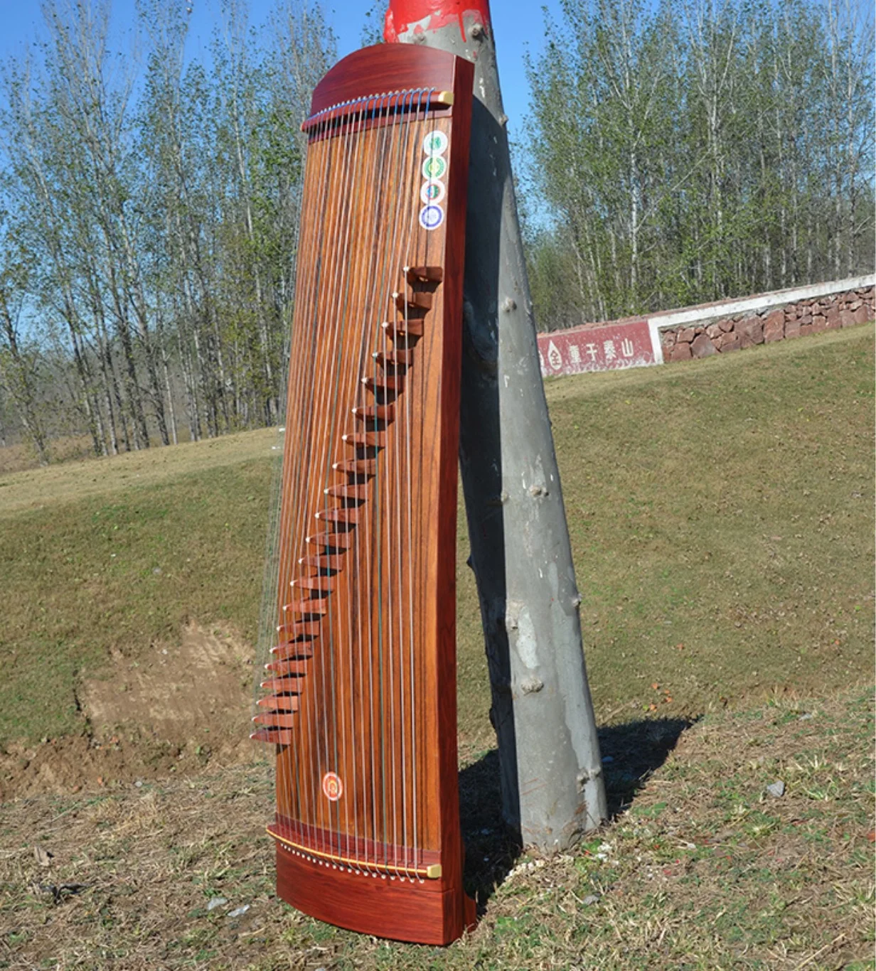 Guzheng portabil 125cm 21 siruri de caractere Chinezești instrument cu coarde2