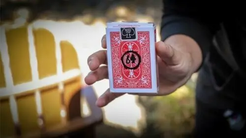 Fourtunate (Trucuri și Instrucțiuni On-line) de David Jonathan și Mark Mason Aproape Magic Trucuri Iluzii Card Magic Fun4