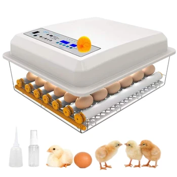 36 ou mic incubatoare pentru ouă pentru incubație cu automate de ou de cotitură și controlul umidității