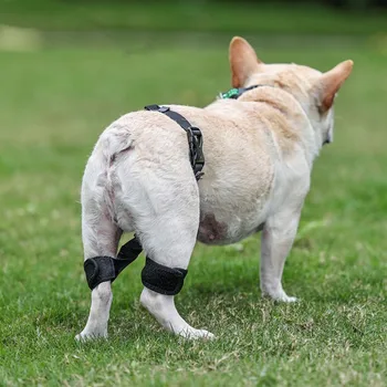 Câinele Hip Ajutor Ortopedice Centura De Companie Bretele Prejudiciu De Ajutor De Reabilitare A Centurii De Câine Prejudiciu În Comun Post-Operatorie Bretele Câine Ligament Rehabili